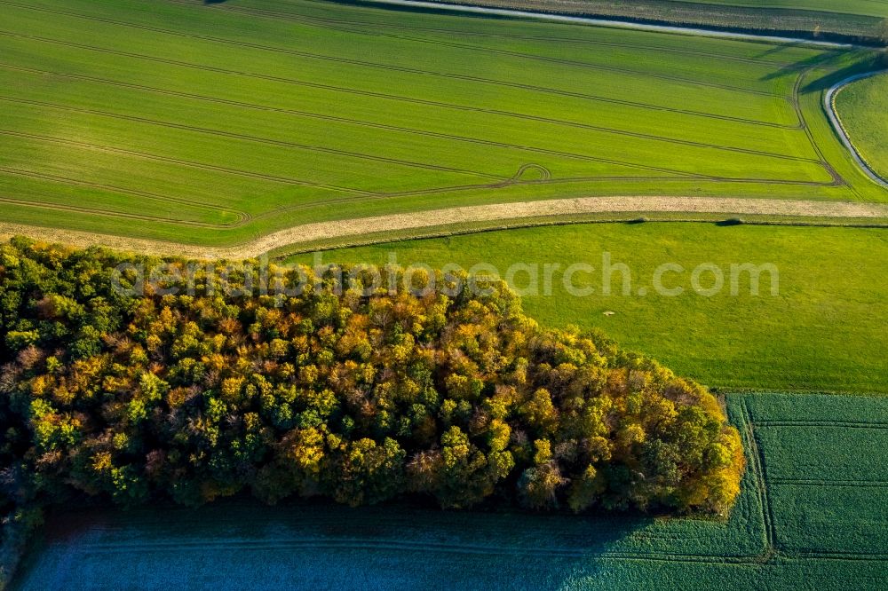 Aerial image Meschede - Structures of a field landscape in Meschede in the state North Rhine-Westphalia, Germany