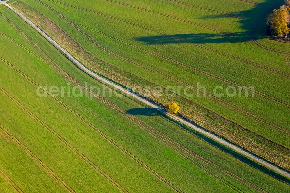 Aerial photograph Meschede - Structures of a field landscape in Meschede in the state North Rhine-Westphalia, Germany