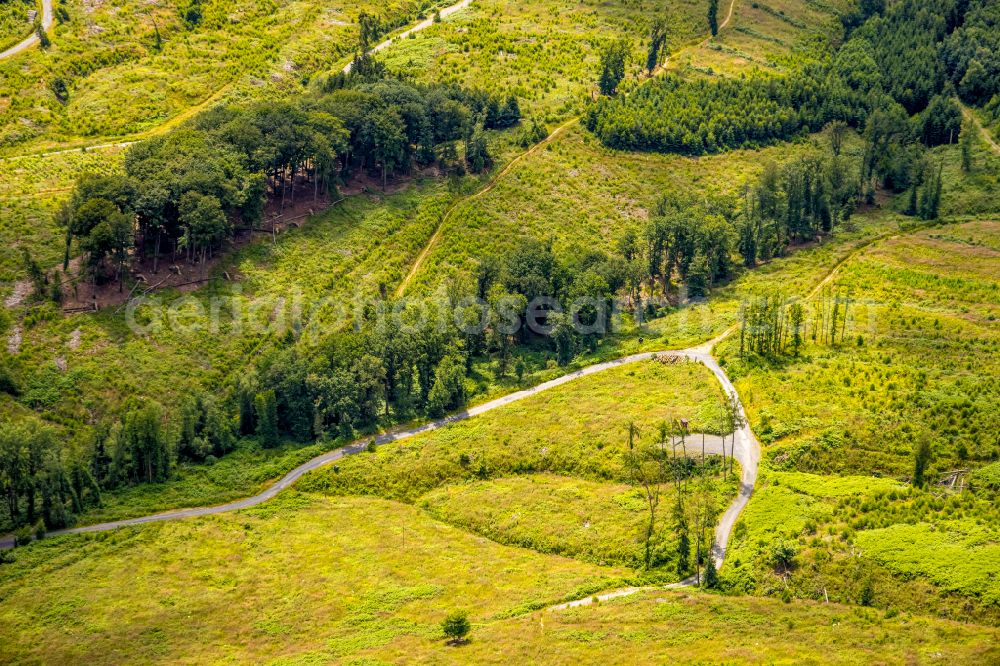 Möhnesee from the bird's eye view: Structures of a field landscape in Möhnesee at Sauerland in the state North Rhine-Westphalia, Germany