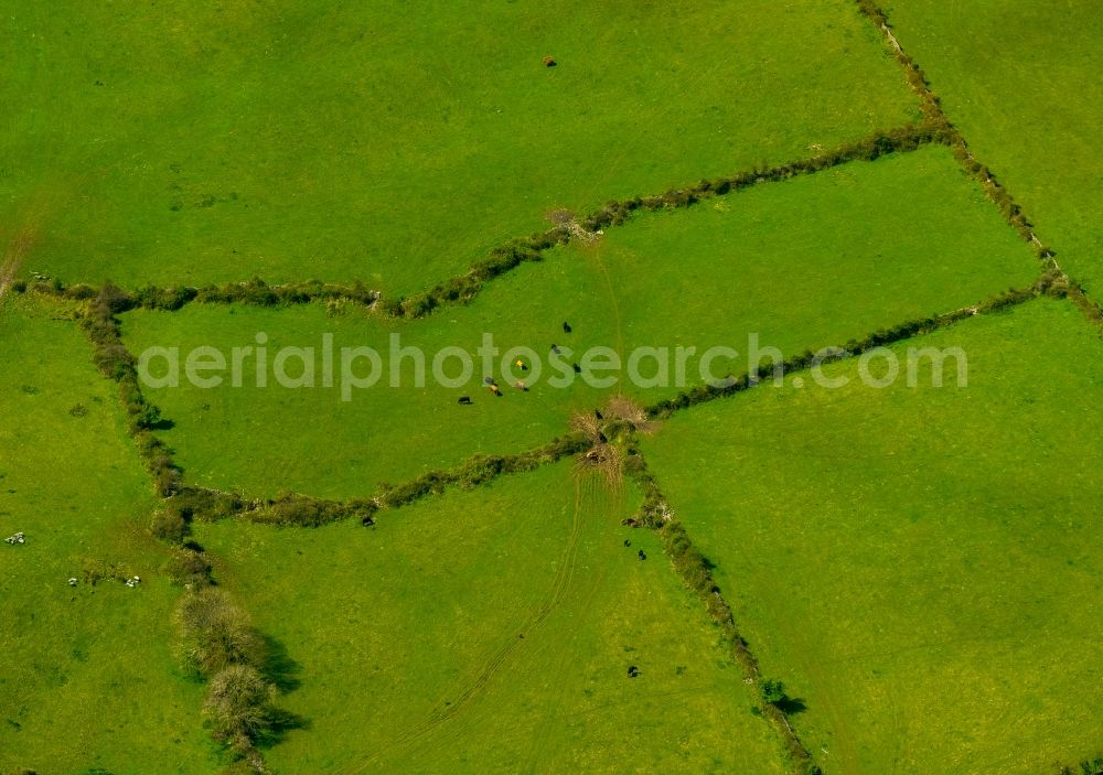 Aerial image Mullaghmore Burren County - Structures of a field landscape in Mullaghmore Burren County in Clare, Ireland