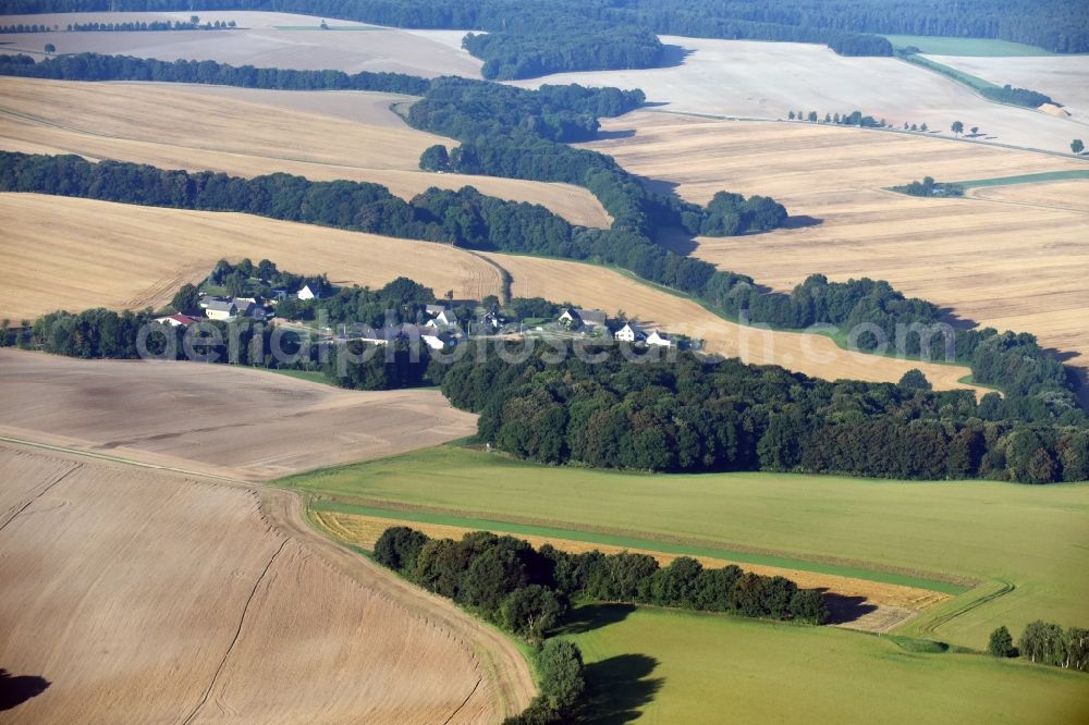 Wüstenhain from the bird's eye view: Structures of a field landscape near the village Wuestenhain in the state Saxony