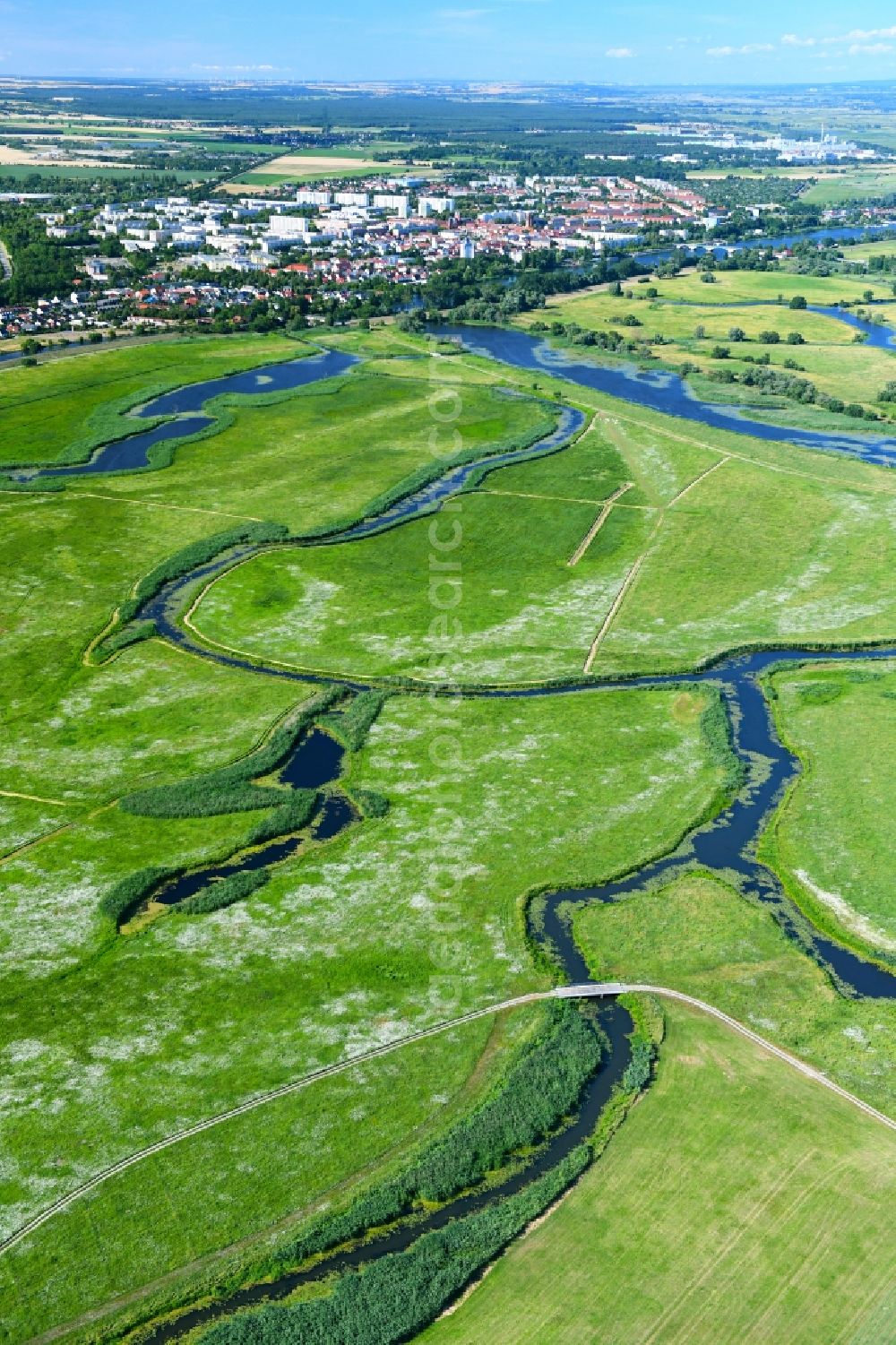 Aerial photograph Schwedt/Oder - Structures of a field landscape of Nationalpark Unteres Odertal in Schwedt/Oder in the state Brandenburg, Germany