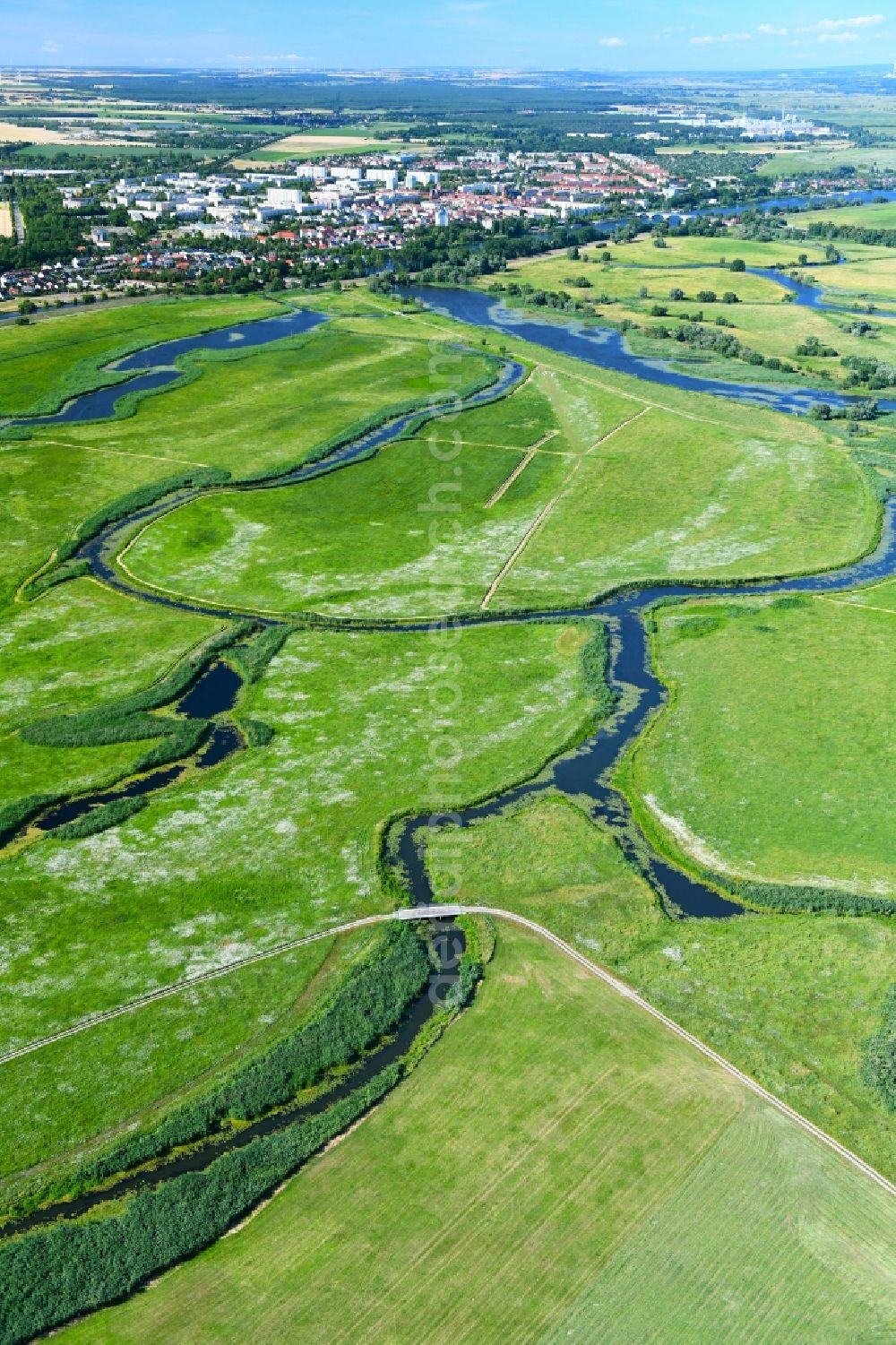 Schwedt/Oder from the bird's eye view: Structures of a field landscape of Nationalpark Unteres Odertal in Schwedt/Oder in the state Brandenburg, Germany