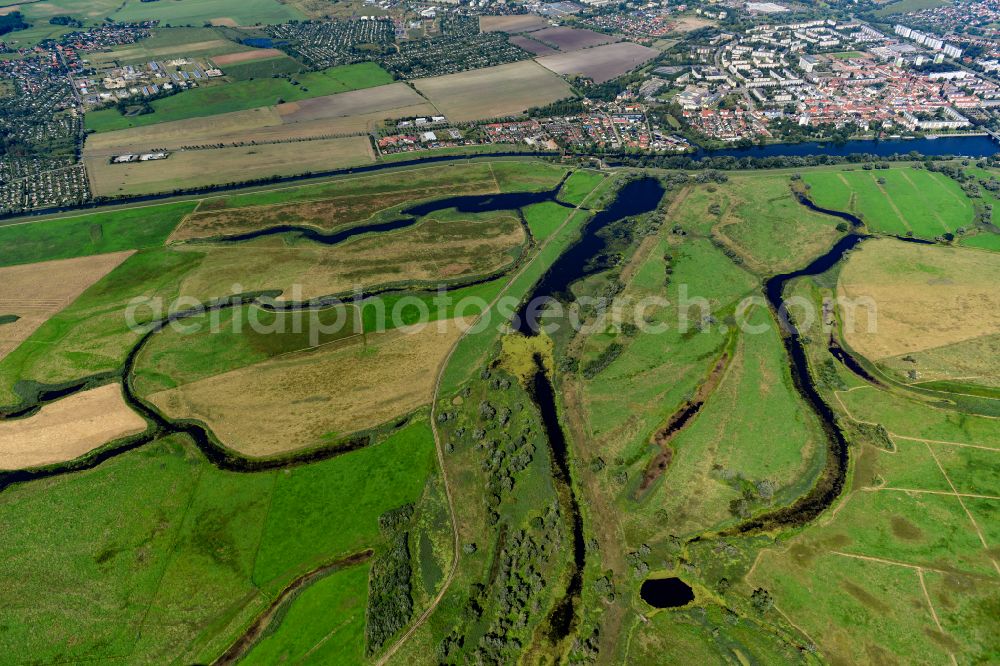 Aerial image Schwedt/Oder - Structures of a field landscape of Nationalpark Unteres Odertal in Schwedt/Oder in the state Brandenburg, Germany