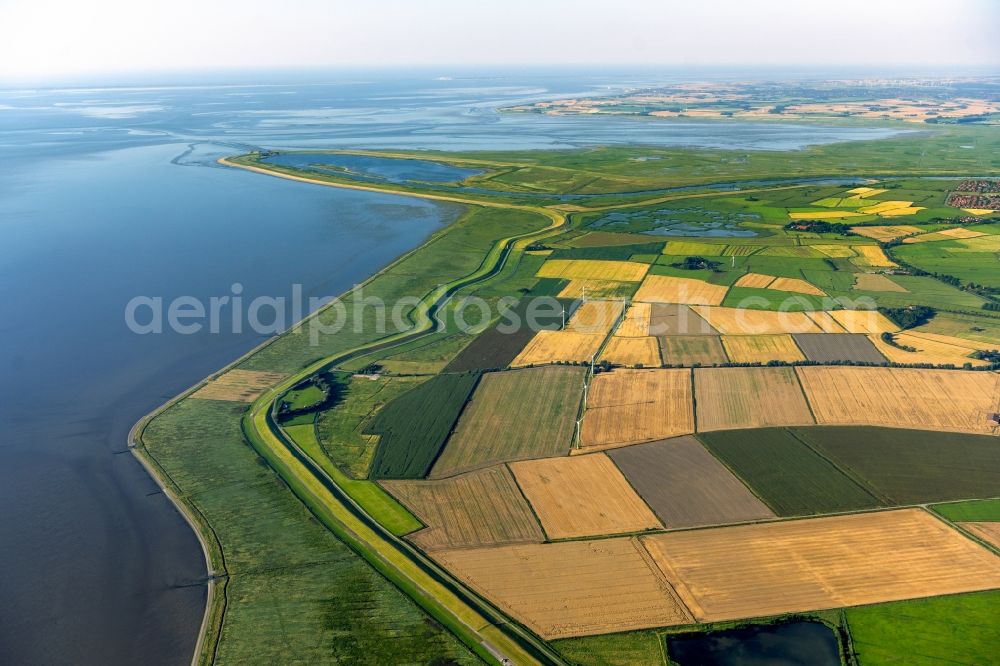 Krummhörn from the bird's eye view: Structures of a field landscape at the North Sea coast in Krummhoern in the state Lower Saxony, Germany