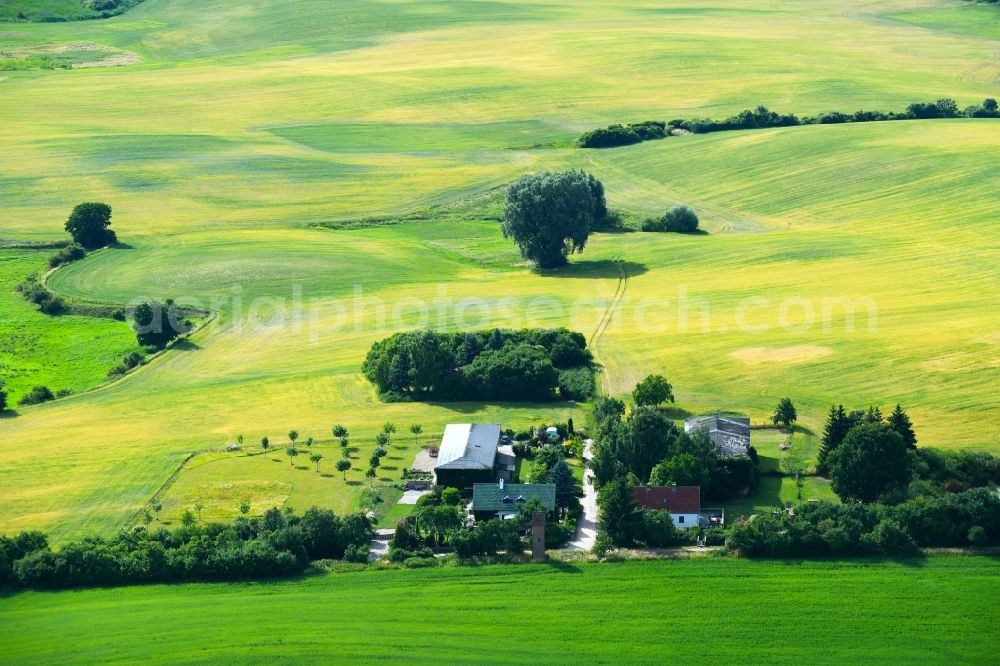 Aerial image Oderberg - Structures of a field landscape in Oderberg in the state Brandenburg, Germany