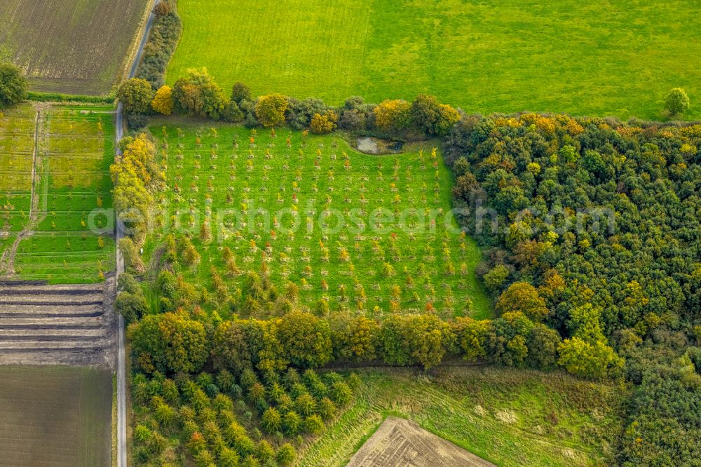 Hamm from above - Structures of a field landscape in the district Norddinker in Hamm in the state North Rhine-Westphalia, Germany