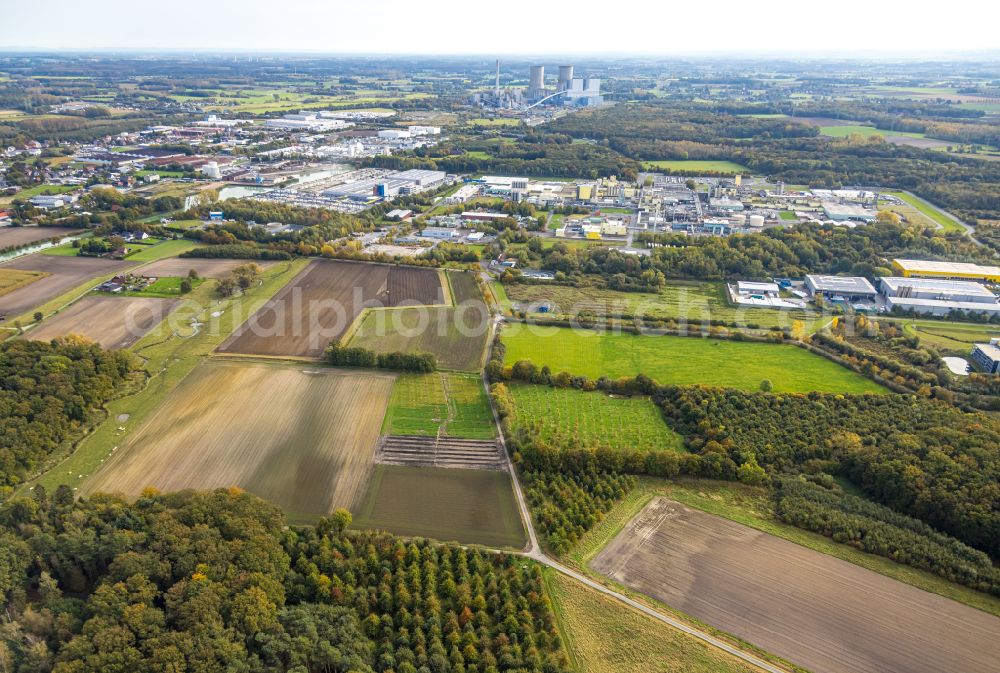 Hamm from the bird's eye view: Structures of a field landscape in the district Norddinker in Hamm in the state North Rhine-Westphalia, Germany