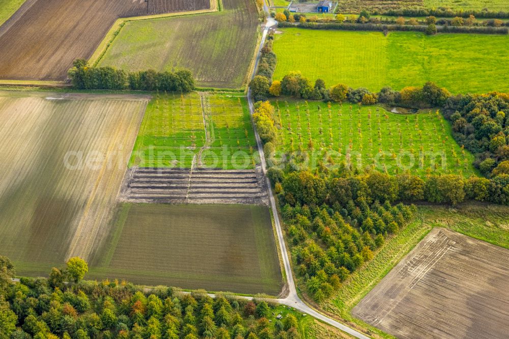 Hamm from the bird's eye view: Structures of a field landscape in the district Norddinker in Hamm in the state North Rhine-Westphalia, Germany