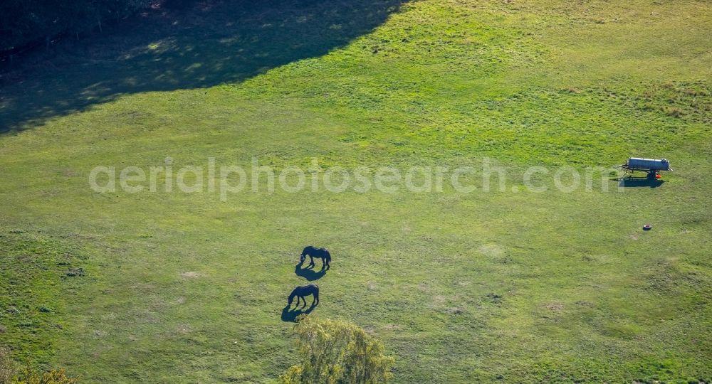 Aerial image Breckerfeld - Structures of a field landscape Pferdekoppel in Breckerfeld in the state North Rhine-Westphalia, Germany