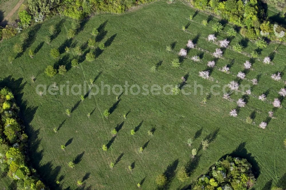 Aerial photograph Erfurt - Structures of a field landscape on Rudolstaedter Strasse - Eisenberger Strasse in the district Dittelstedt in Erfurt in the state Thuringia, Germany