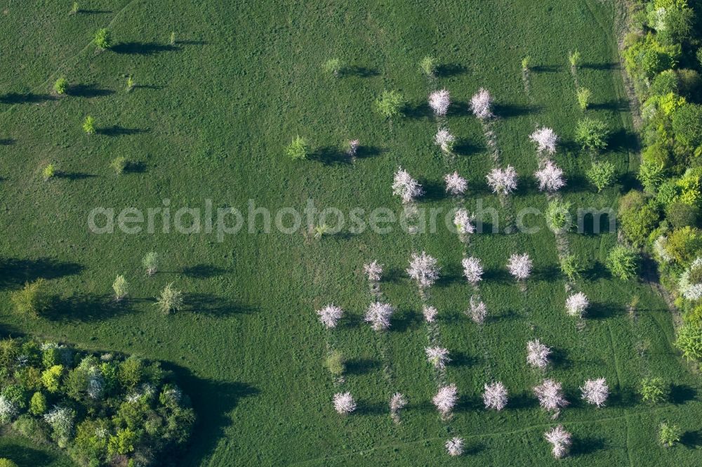 Erfurt from above - Structures of a field landscape on Rudolstaedter Strasse - Eisenberger Strasse in the district Dittelstedt in Erfurt in the state Thuringia, Germany