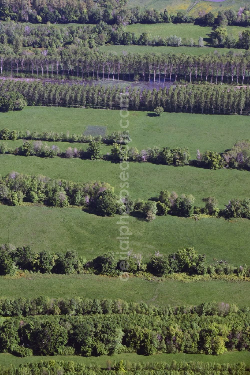 Aerial photograph Saillans - Structures of a field landscape in Saillans in Aquitaine Limousin Poitou-Charentes, France