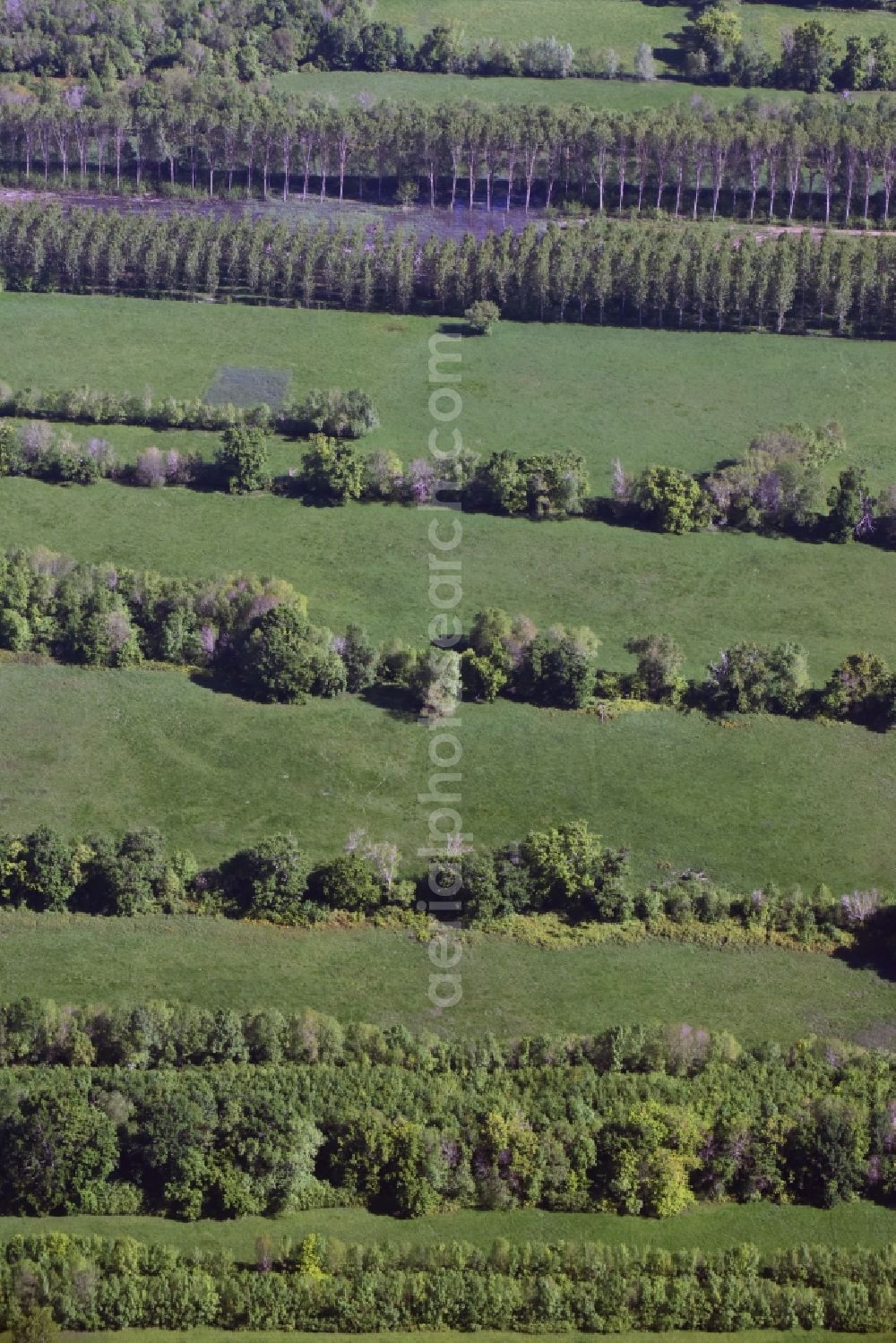 Saillans from above - Structures of a field landscape in Saillans in Aquitaine Limousin Poitou-Charentes, France