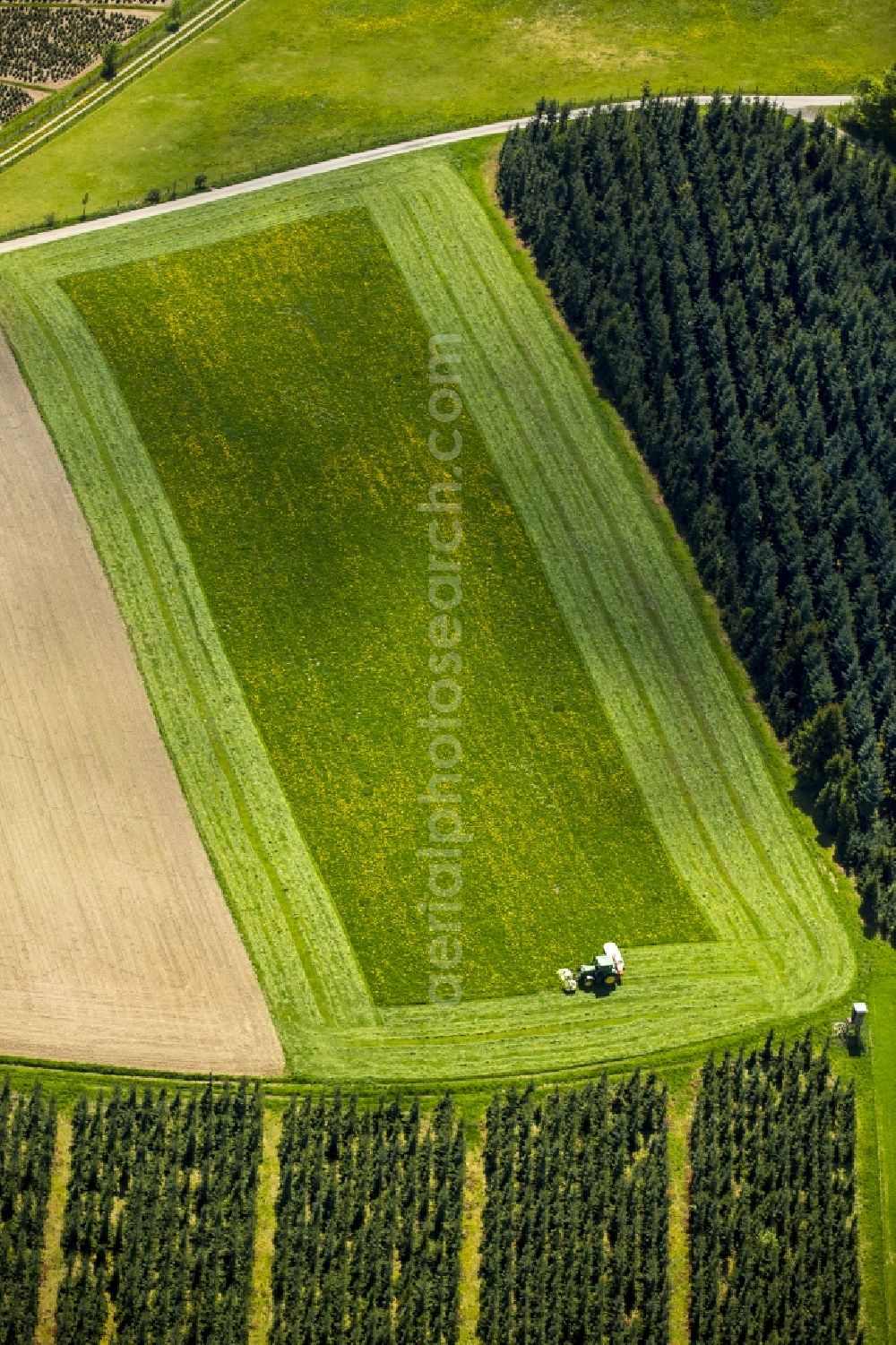 Schmallenberg from the bird's eye view: Structures of a field landscape in Schmallenberg in the state North Rhine-Westphalia