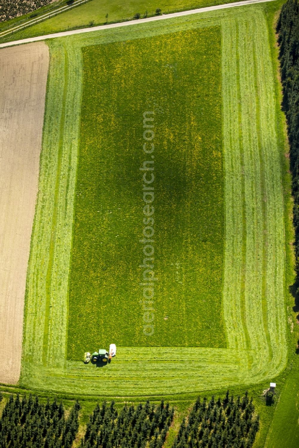 Aerial image Schmallenberg - Structures of a field landscape in Schmallenberg in the state North Rhine-Westphalia