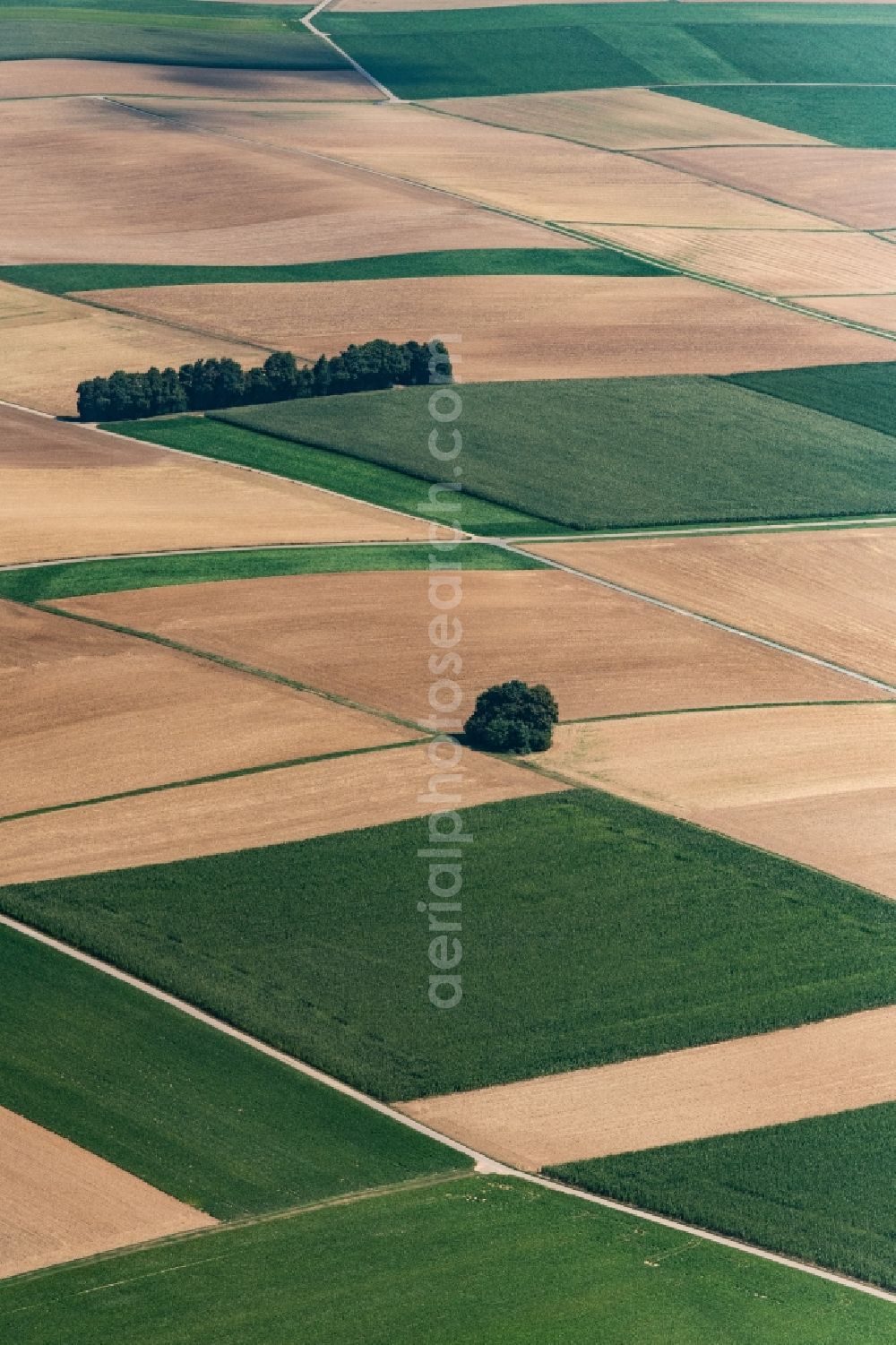 Schwaigern from above - Structures of a field landscape in Schwaigern in the state Baden-Wurttemberg, Germany