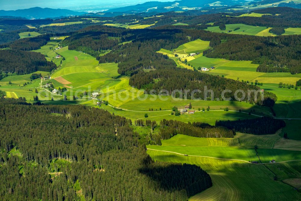 Aerial photograph Eisenbach (Hochschwarzwald) - Structures of a field landscape Im Schwarzwald in Eisenbach (Hochschwarzwald) in the state Baden-Wuerttemberg, Germany