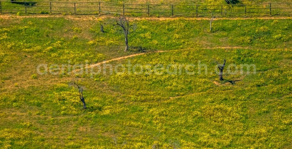 Son Espanyol from the bird's eye view: Structures of a field landscape in Son Espanyol in Islas Baleares, Spain