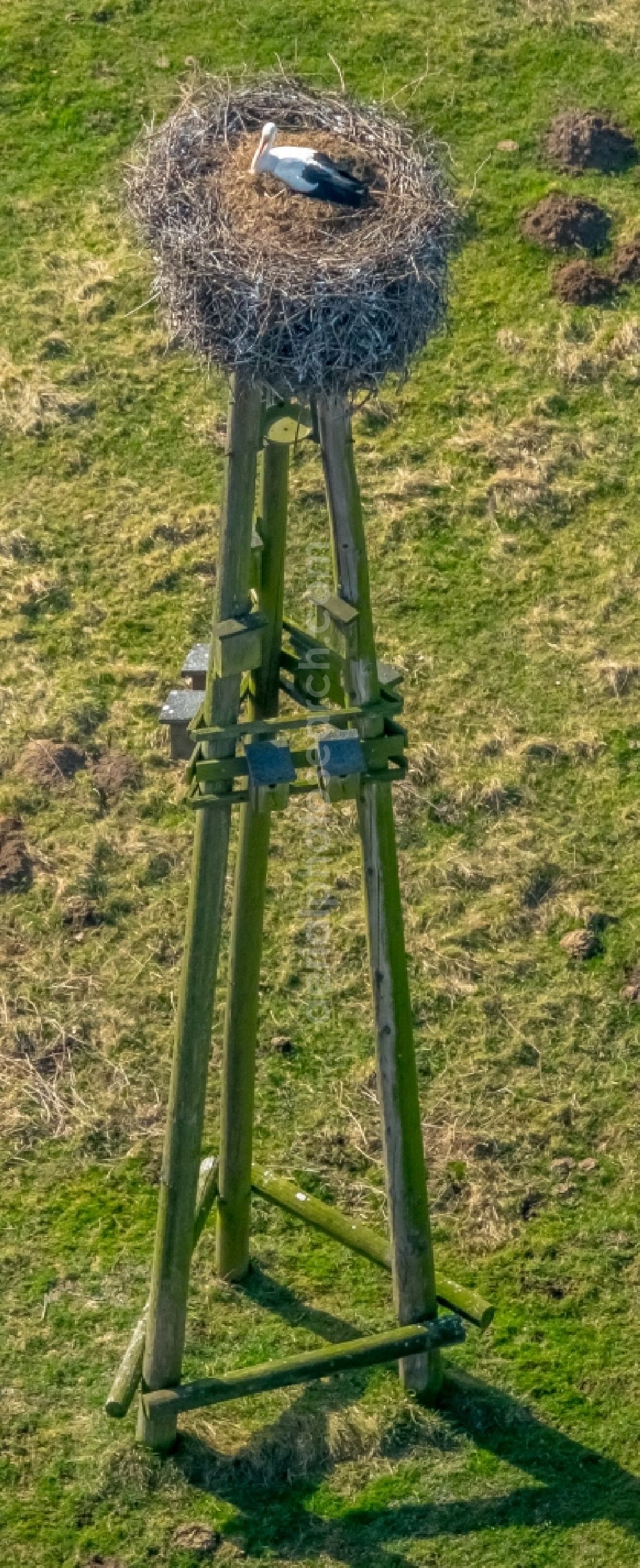 Aerial photograph Hamm - Structures of a field landscape with stork nest in the Lippeauen in the district Hamm-Heessen in Hamm in the state North Rhine-Westphalia