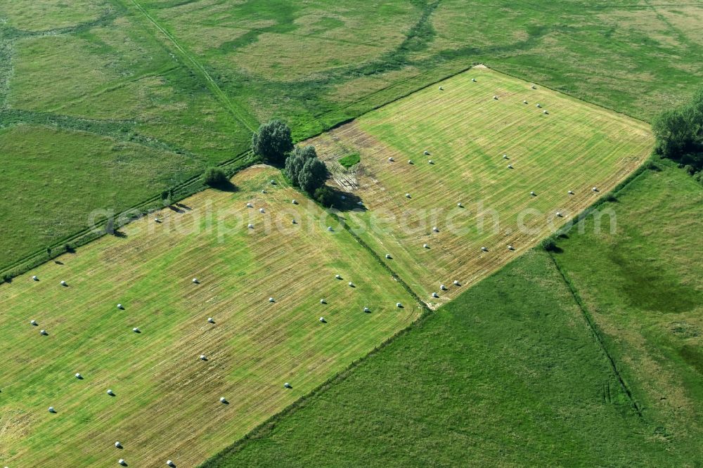 Teldau from the bird's eye view: Structures of a field landscape in Teldau in the state Mecklenburg - Western Pomerania