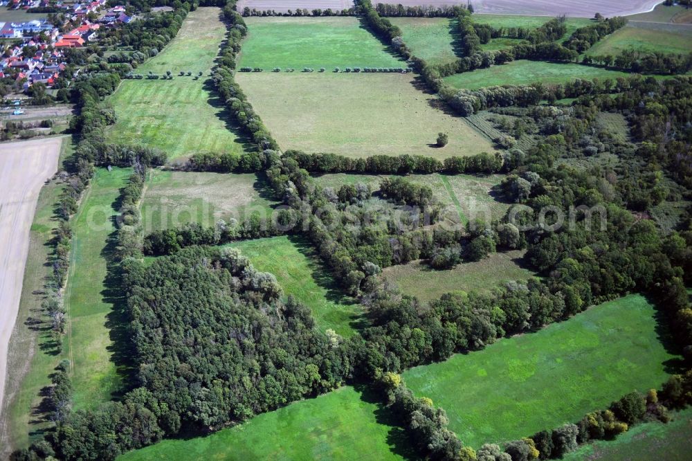 Wehlau from above - Structures of a field landscape in Wehlau in the state Saxony-Anhalt, Germany