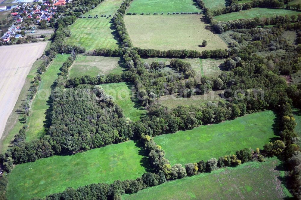 Wehlau from the bird's eye view: Structures of a field landscape in Wehlau in the state Saxony-Anhalt, Germany