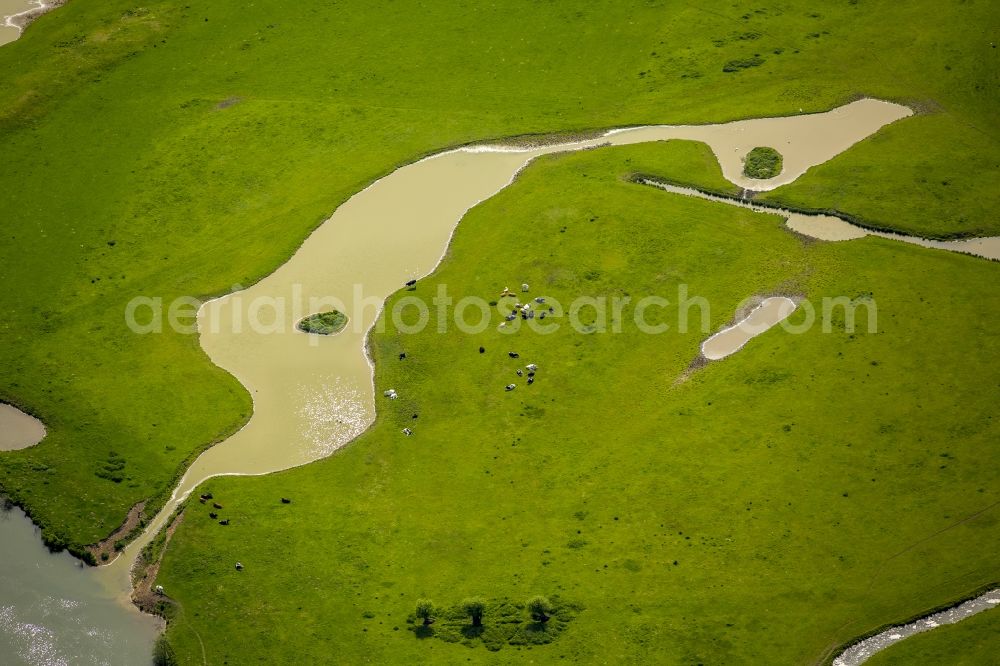 Hamm from above - Structures of a field landscape in Werne in the state North Rhine-Westphalia