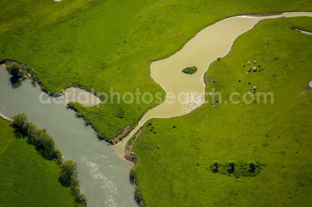 Hamm from the bird's eye view: Structures of a field landscape in Werne in the state North Rhine-Westphalia