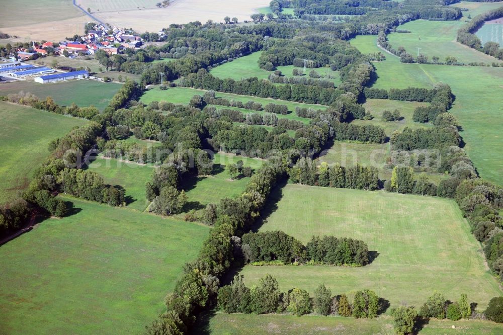 Zörbig from above - Structures of a field landscape in Zoerbig in the state Saxony-Anhalt, Germany