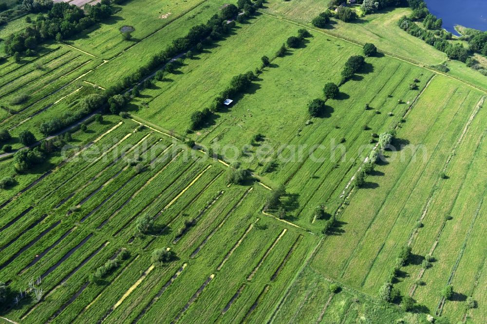 Hamburg from above - Structures a field and meadow landscape at Kraueler in Hamburg