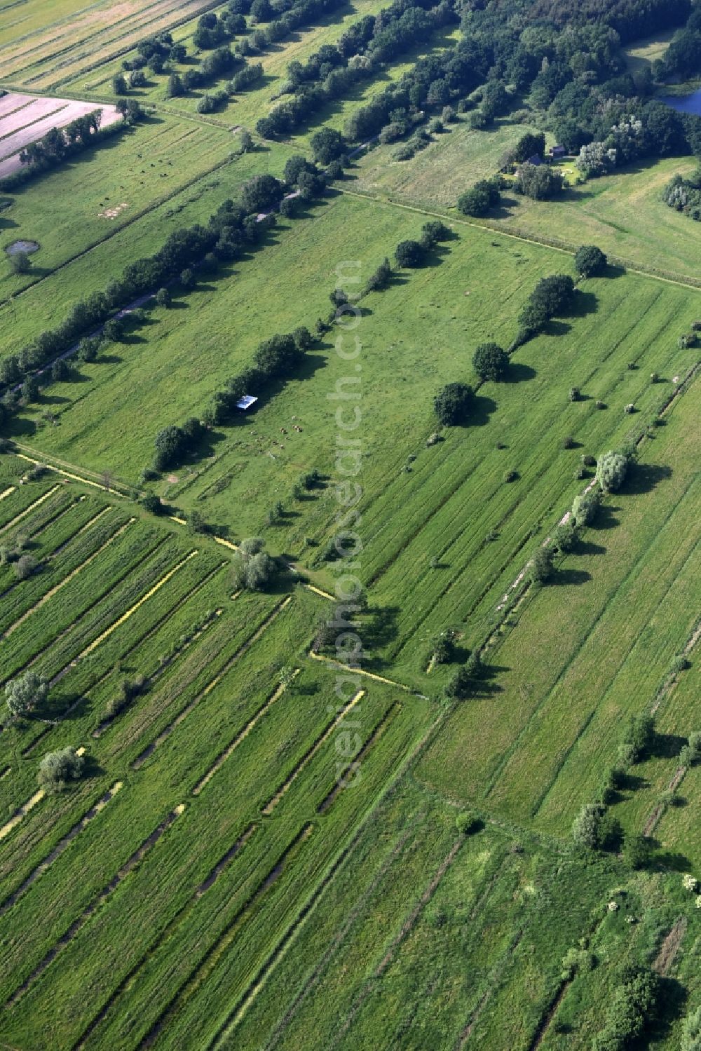 Hamburg from the bird's eye view: Structures a field and meadow landscape at Kraueler in Hamburg