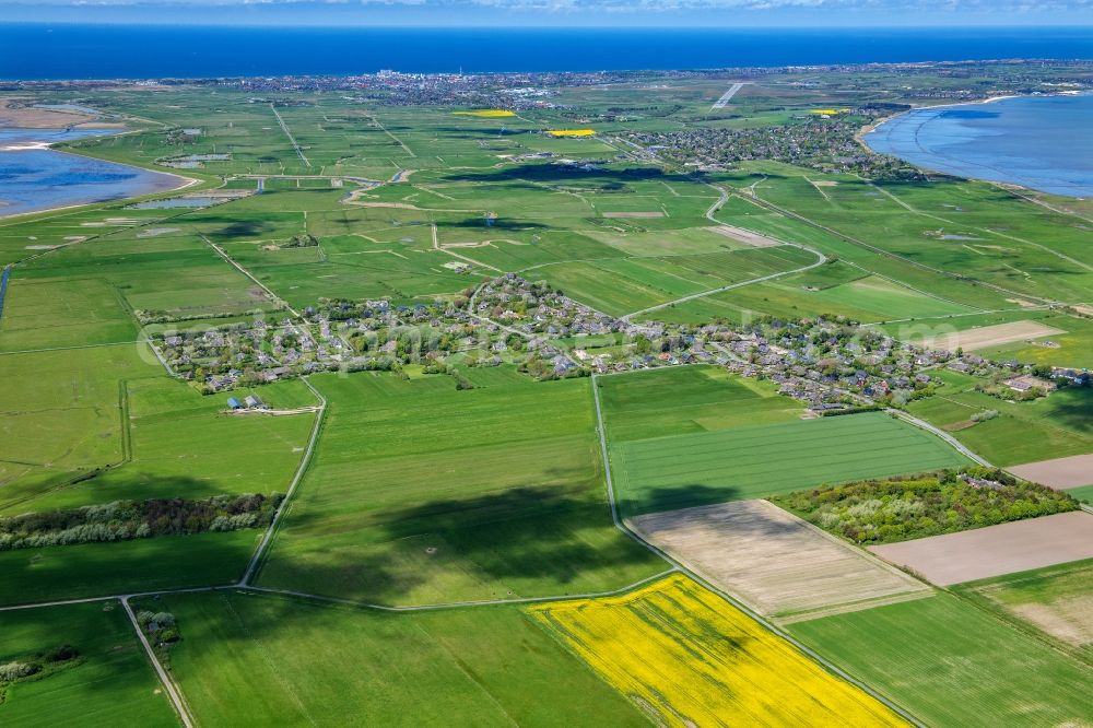 Archsum from above - Green space structures a Hallig Landscape in Archsum at the island Sylt in the state Schleswig-Holstein, Germany