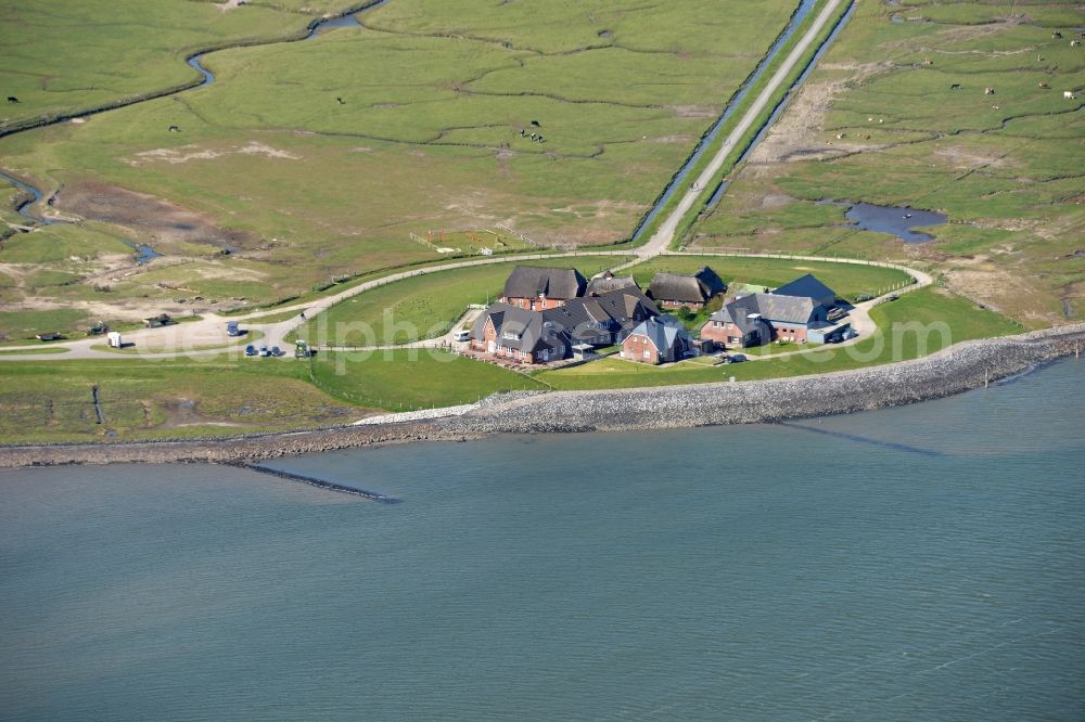 Aerial photograph Langeneß - Green space structures a Hallig Landscape in Langeness in the state Schleswig-Holstein