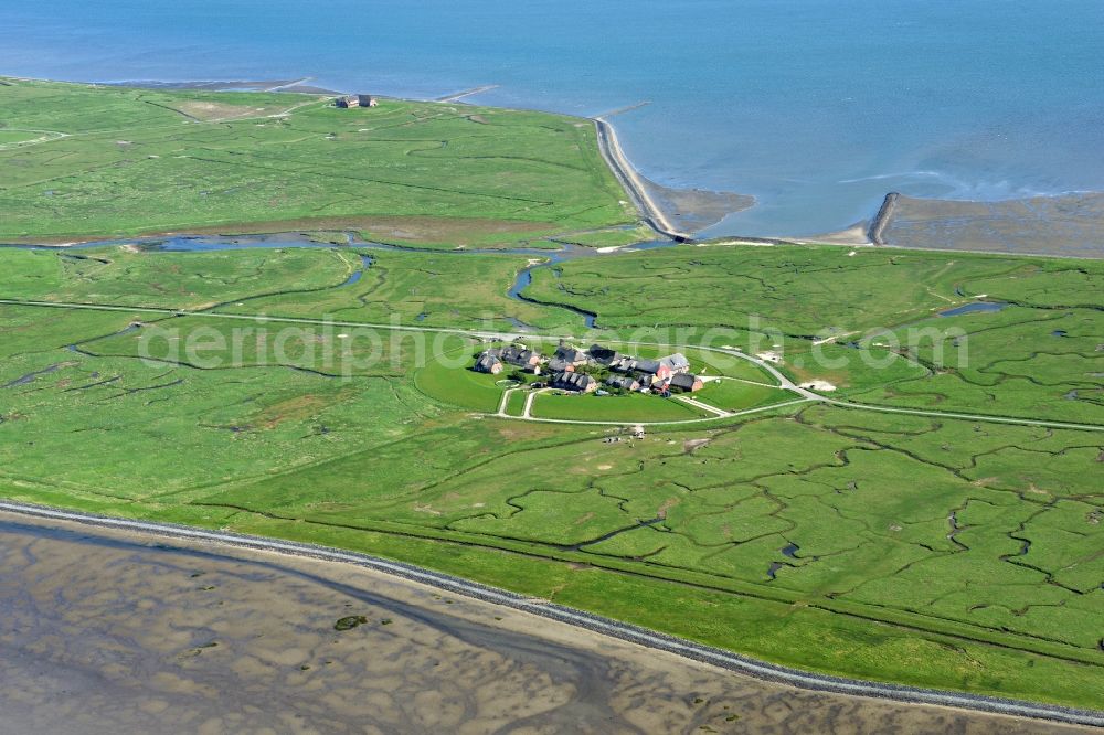 Langeneß from the bird's eye view: Green space structures a Hallig Landscape in Langeness in the state Schleswig-Holstein