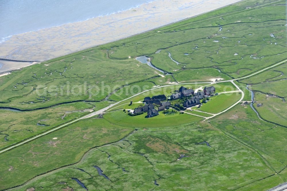 Aerial photograph Langeneß - Green space structures a Hallig Landscape in Langeness in the state Schleswig-Holstein