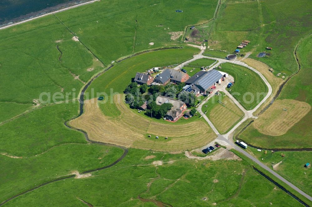 Aerial photograph Langeneß - Green space structures a Hallig Landscape in Langeness in the state Schleswig-Holstein