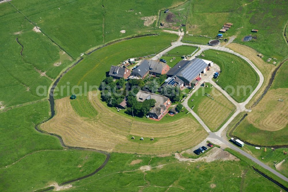 Langeneß from above - Green space structures a Hallig Landscape in Langeness in the state Schleswig-Holstein