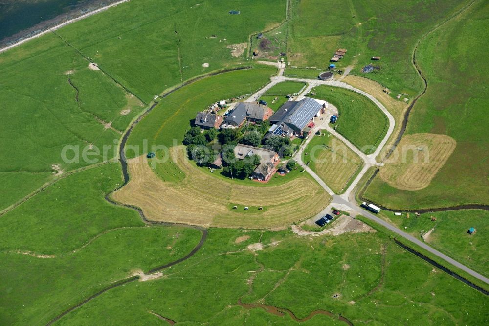 Langeneß from the bird's eye view: Green space structures a Hallig Landscape in Langeness in the state Schleswig-Holstein