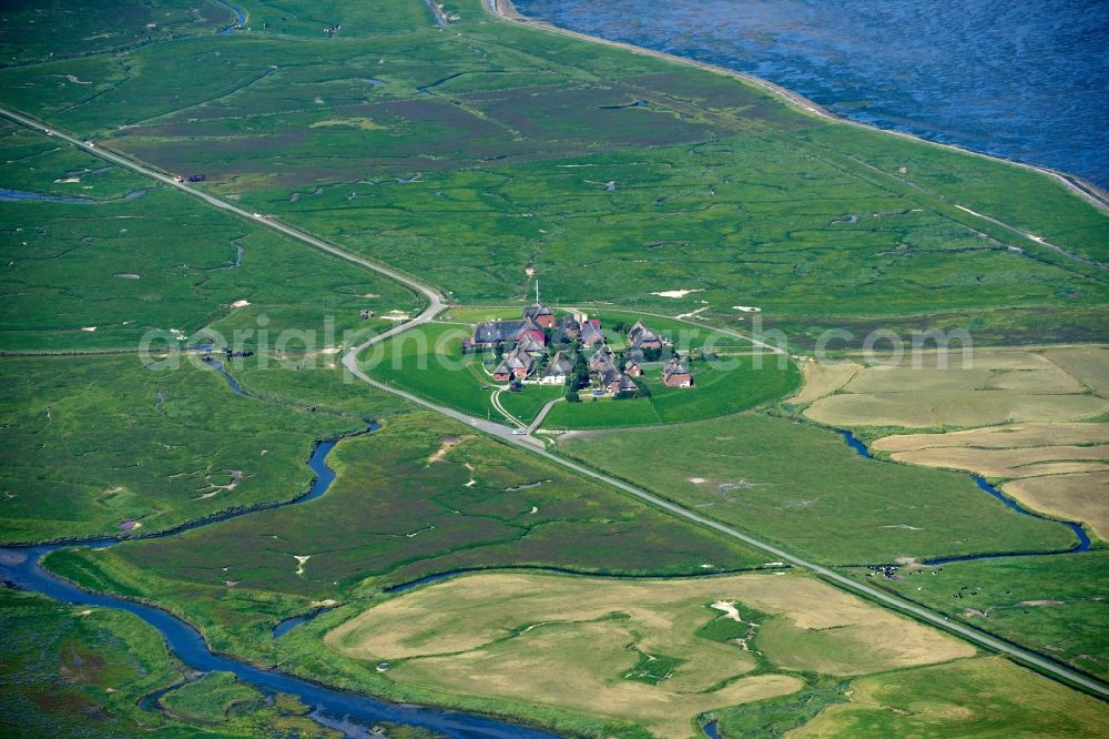 Langeneß from the bird's eye view: Green space structures a Hallig Landscape in Langeness in the state Schleswig-Holstein