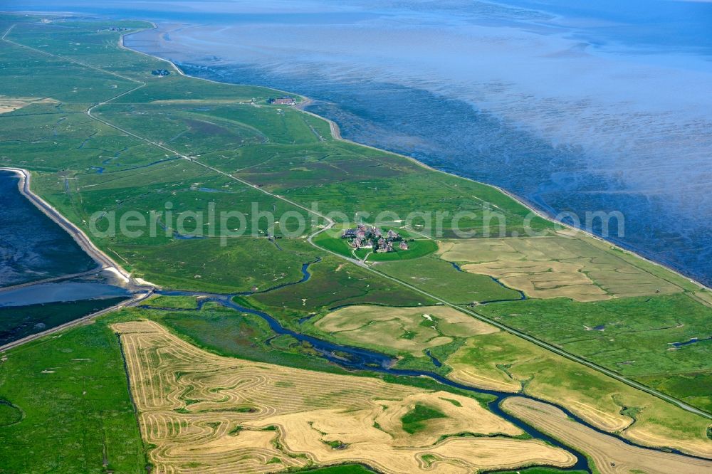 Aerial image Langeneß - Green space structures a Hallig Landscape in Langeness in the state Schleswig-Holstein
