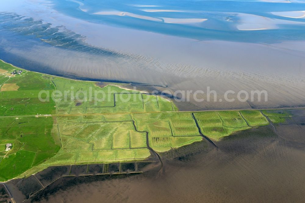 Langeneß from above - Green space structures a Hallig Landscape in Langeness in the state Schleswig-Holstein