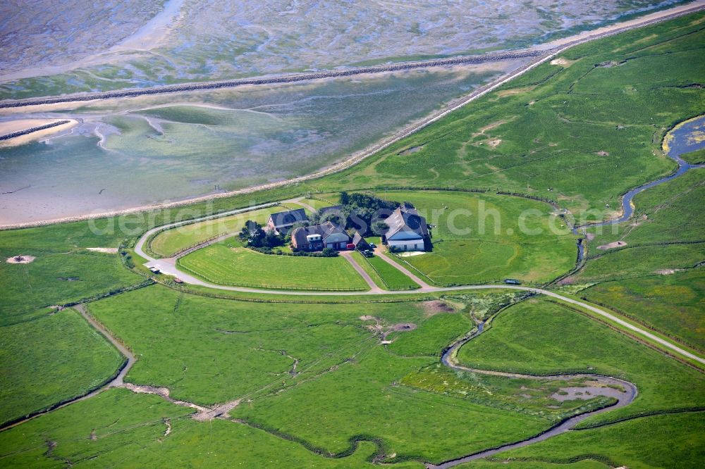 Aerial photograph Langeneß - Green space structures a Hallig Landscape in Langeness in the state Schleswig-Holstein