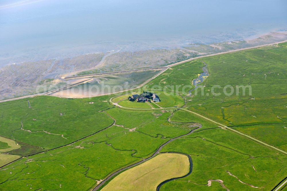 Langeneß from above - Green space structures a Hallig Landscape in Langeness in the state Schleswig-Holstein