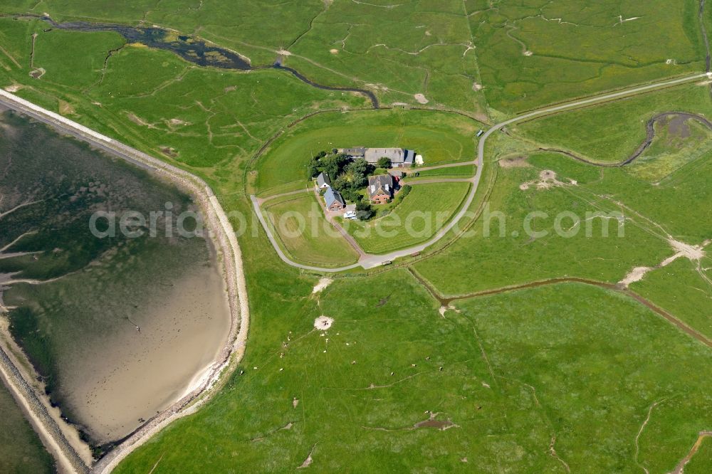 Aerial image Langeneß - Green space structures a Hallig Landscape in Langeness in the state Schleswig-Holstein