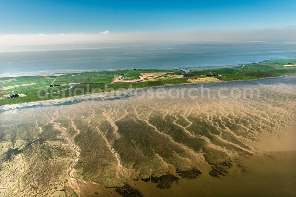 Aerial photograph Langeneß - Green space structures a Hallig Landscape in Langeness in the state Schleswig-Holstein