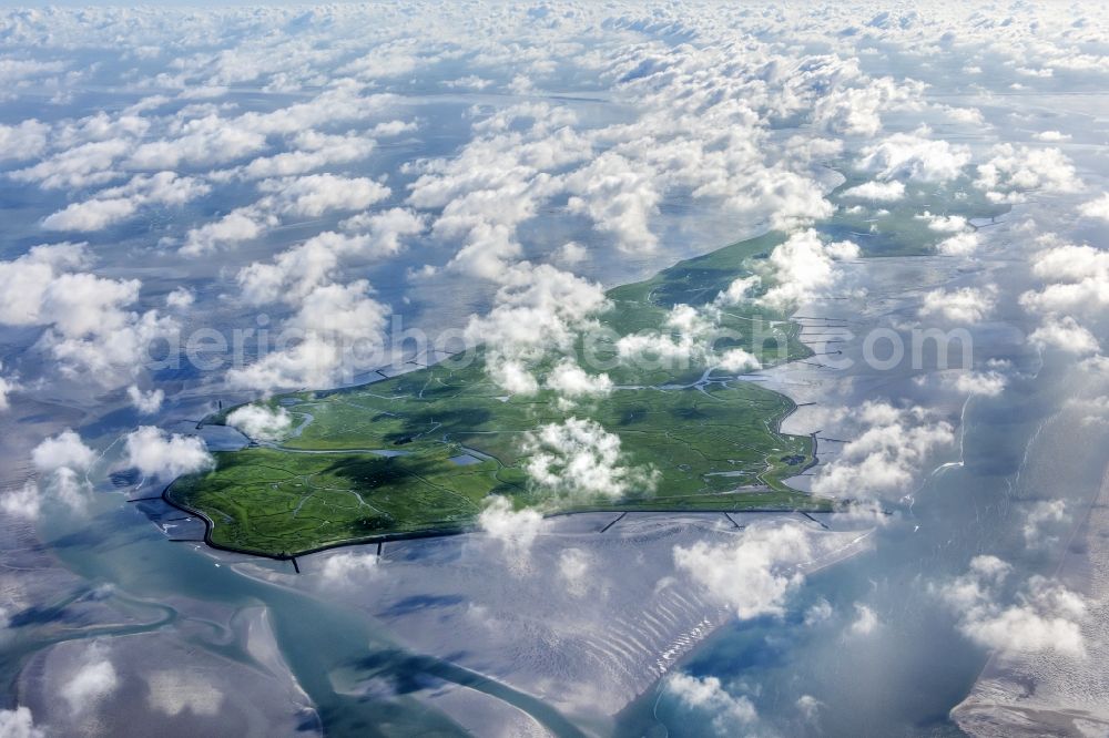 Langeneß from above - Green space structures a Hallig Landscape in Langeness in the state Schleswig-Holstein