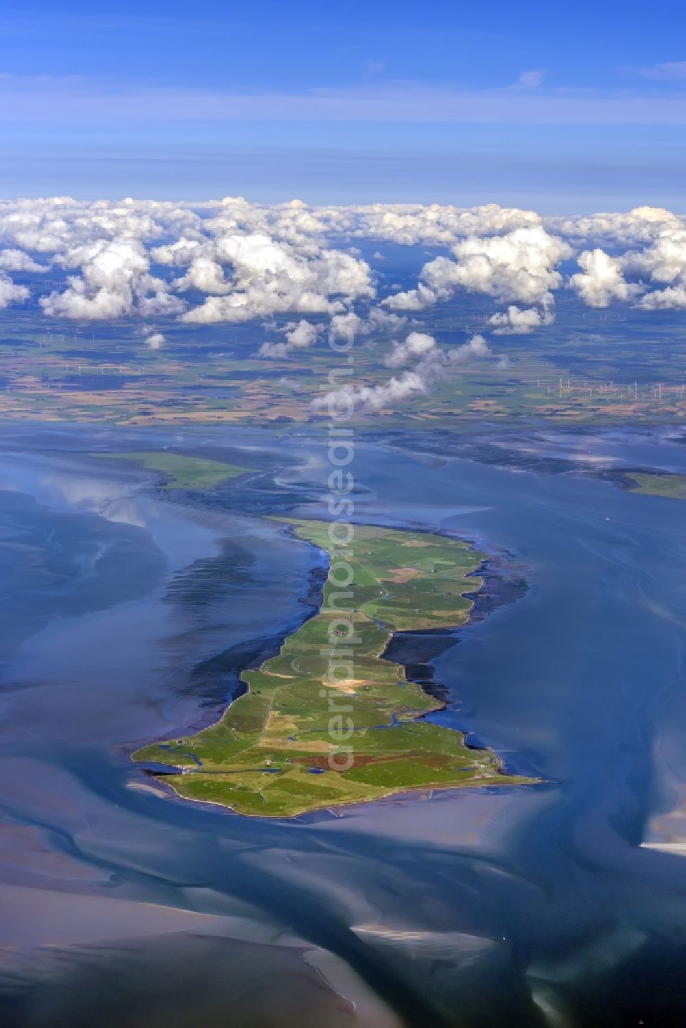 Aerial photograph Langeneß - Green space structures a Hallig Landscape in Langeness in the state Schleswig-Holstein