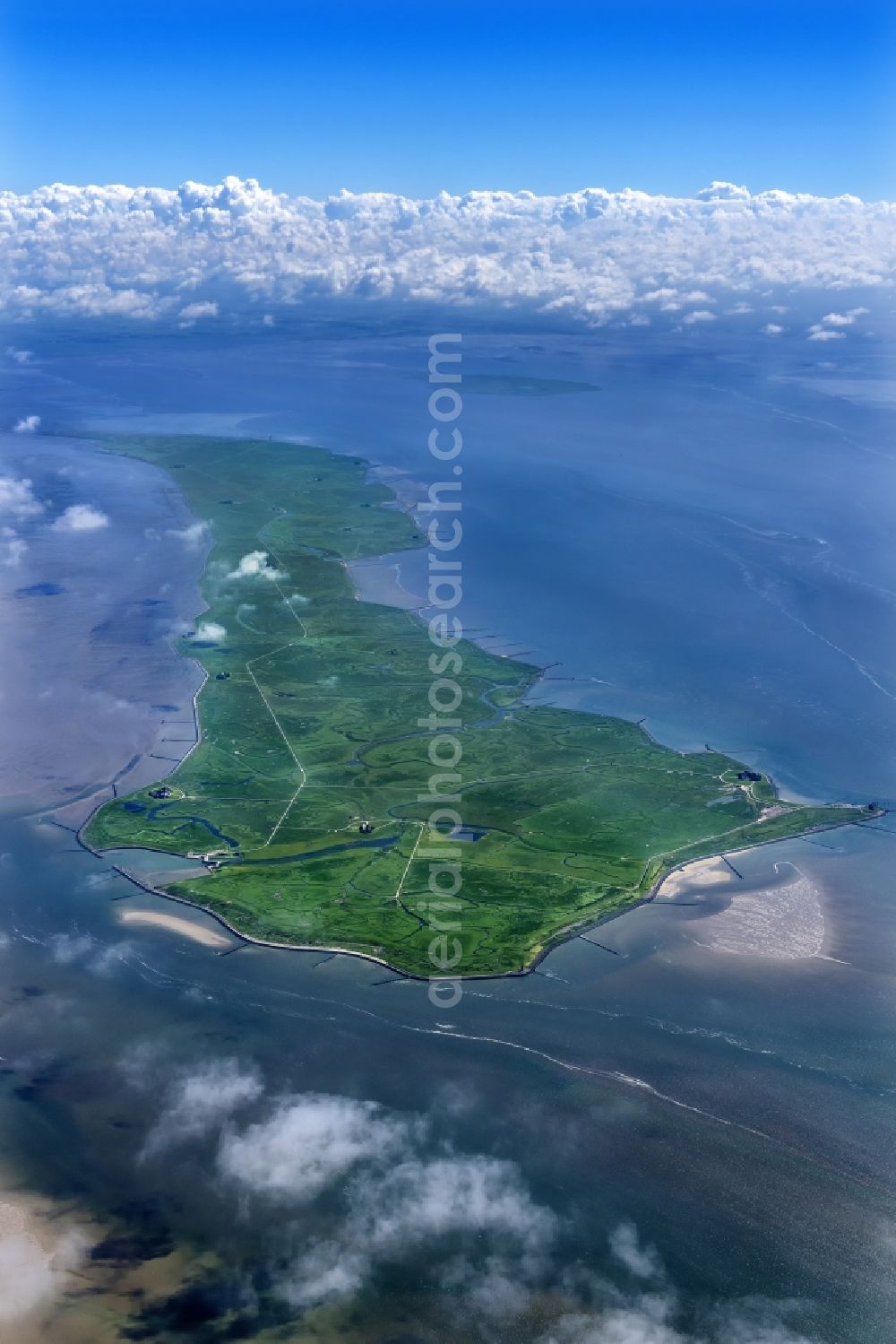 Aerial image Langeneß - Green space structures a Hallig Landscape in Langeness in the state Schleswig-Holstein