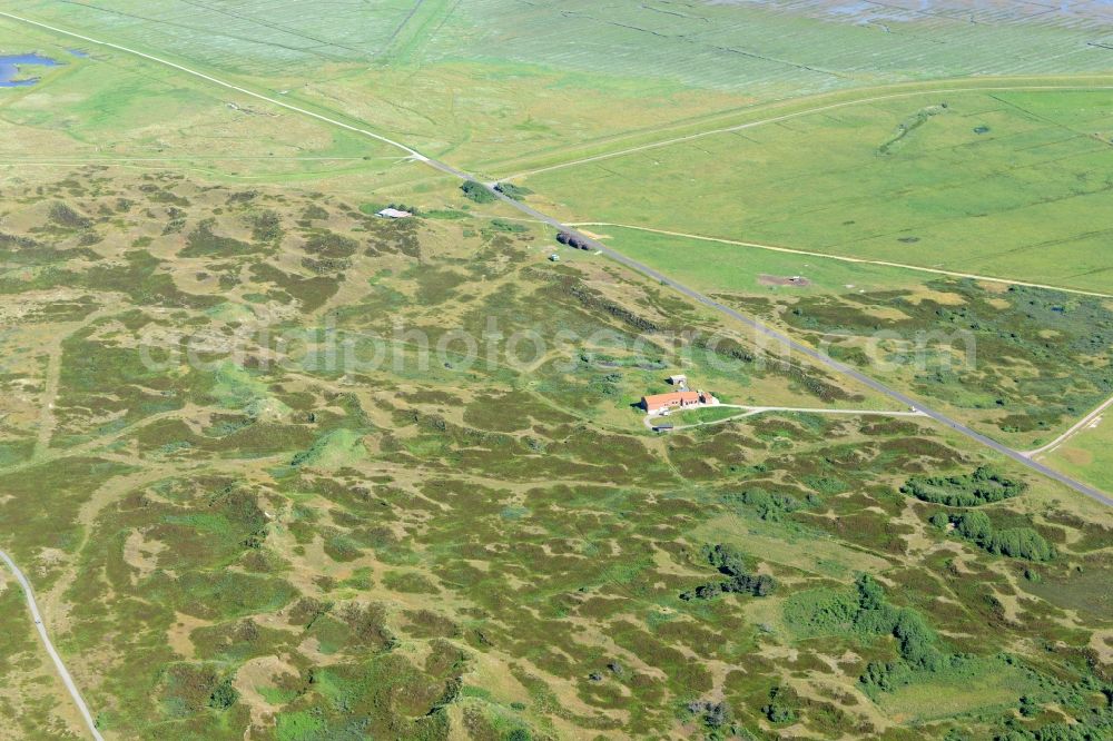 Langeoog from above - Green space structures a Hallig Landscape in Langeoog in the state Lower Saxony